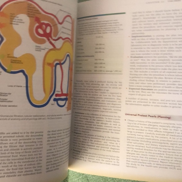 Nursing textbook: Laboratory and Diagnostic Testing - Picture 4 of 4